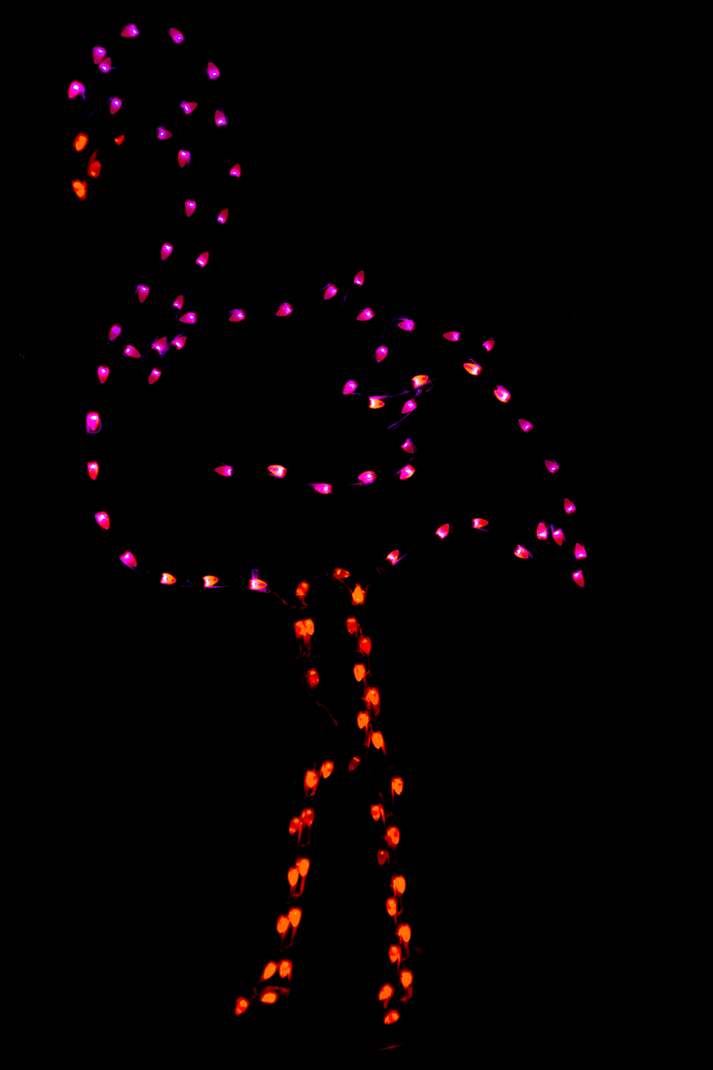 Illustration for article titled Obligatory Christmas Light Post